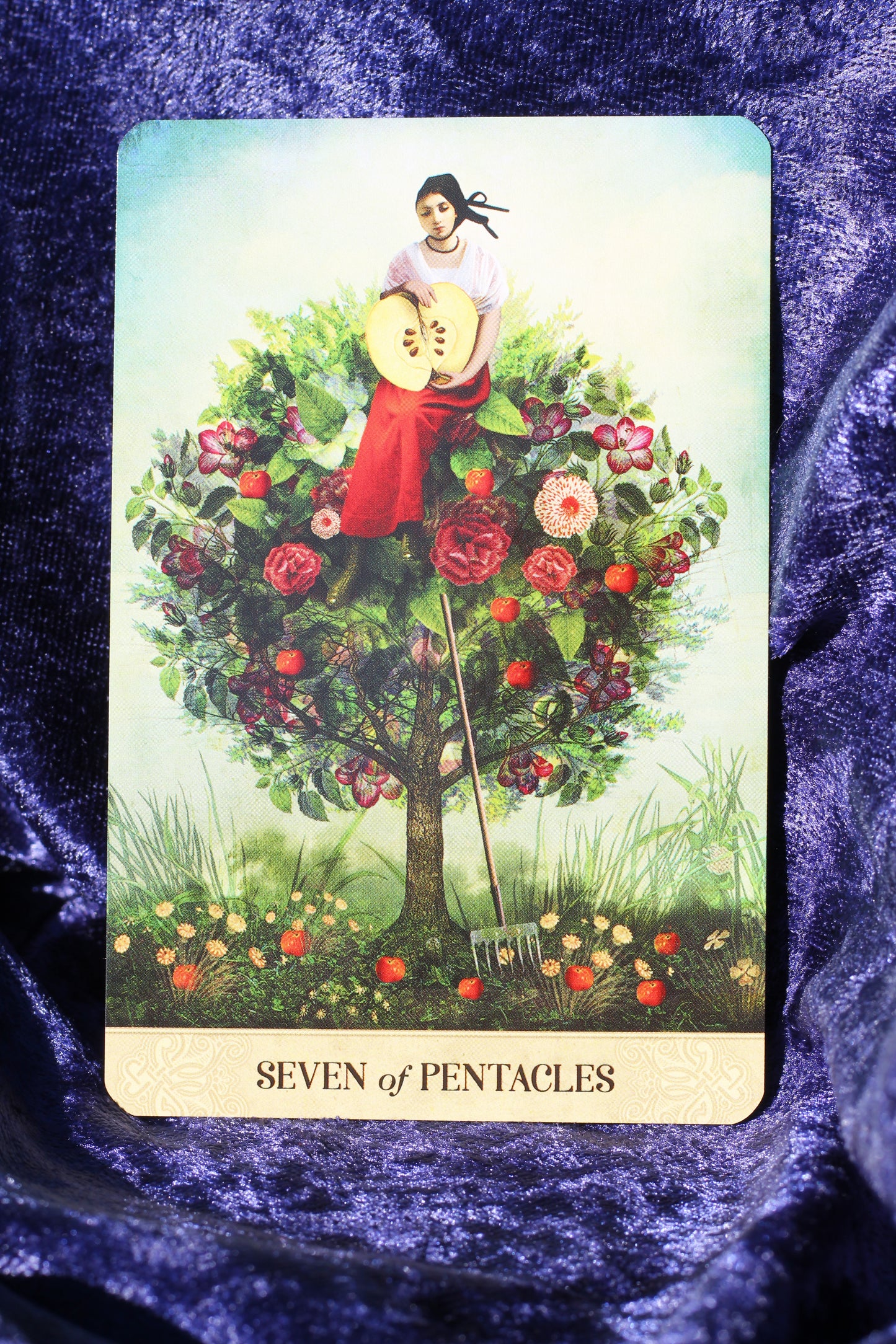 Tarot of Mystical Moments